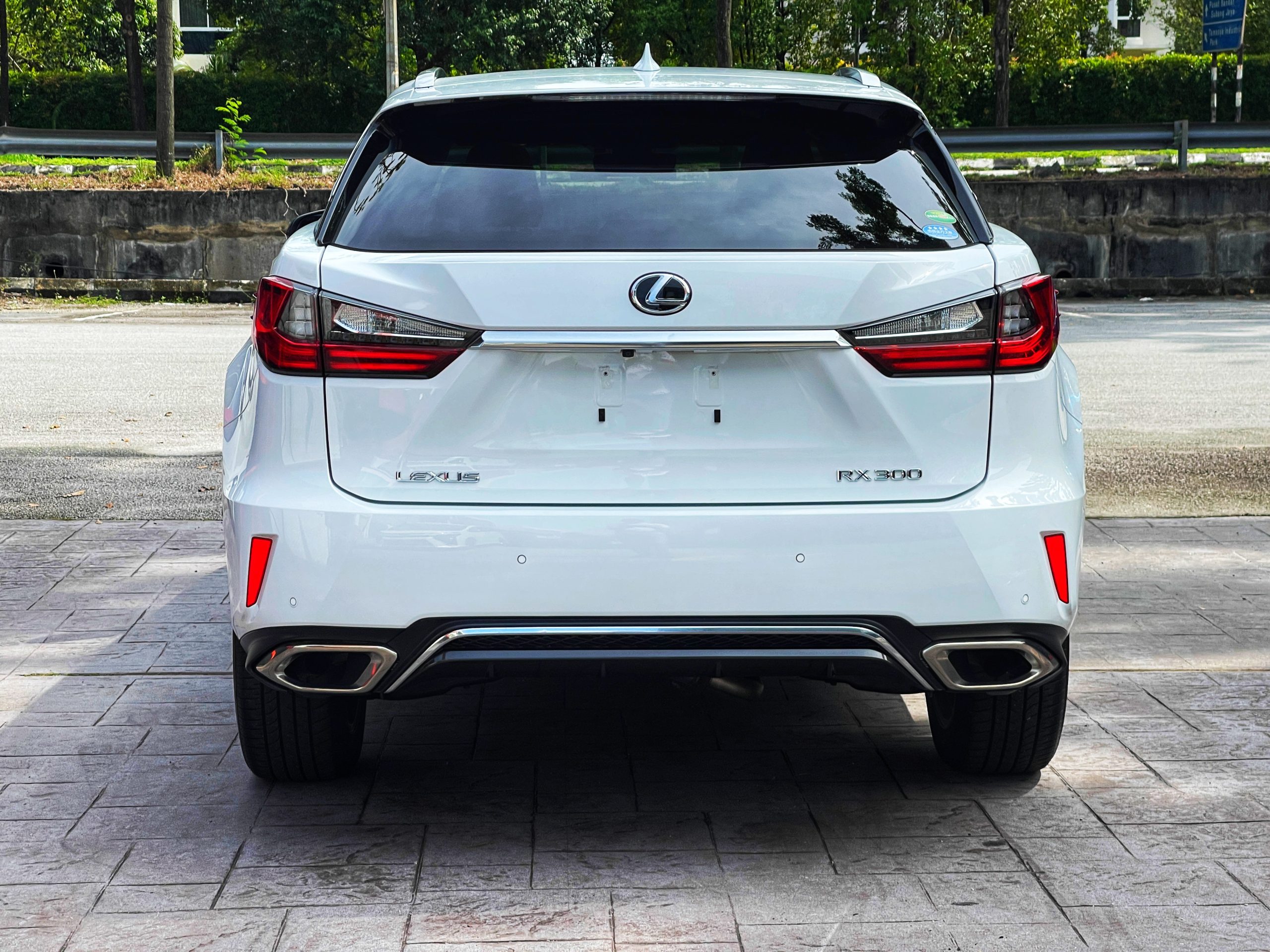2018 LEXUS RX300 F SPORT